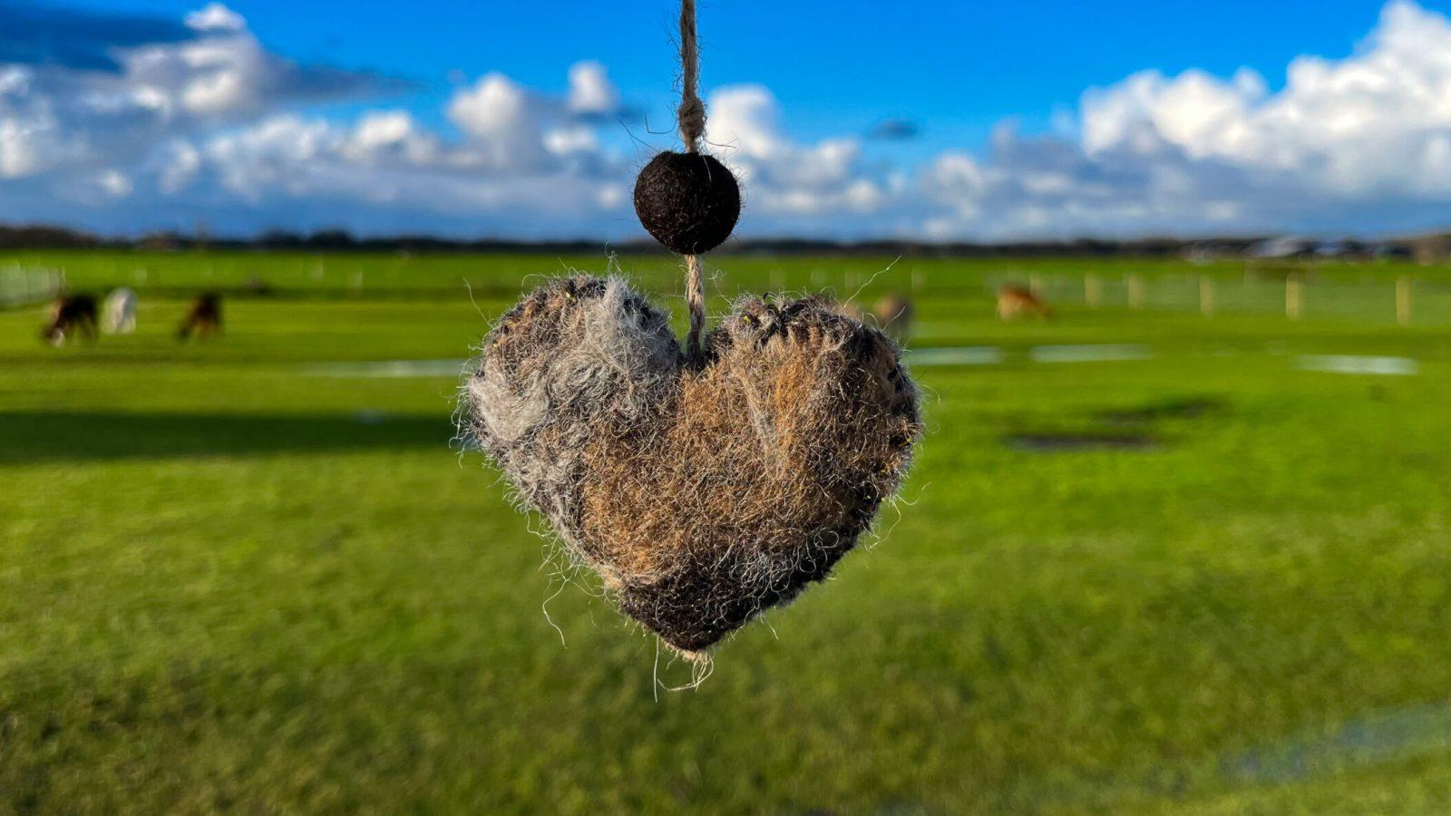 Alpaca Eco Farm — uitje in Nederland