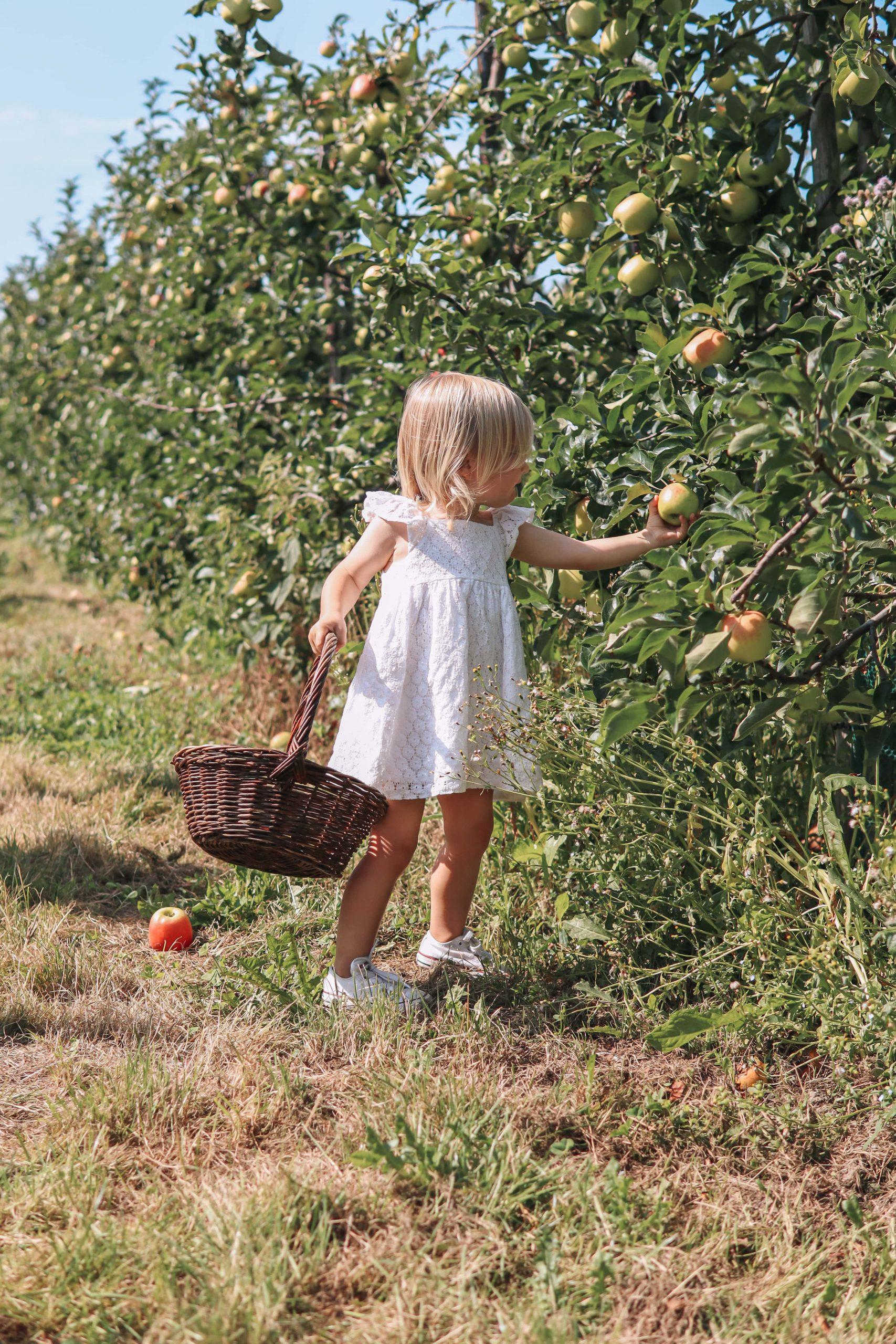 de Buytenhof — uitje in Nederland
