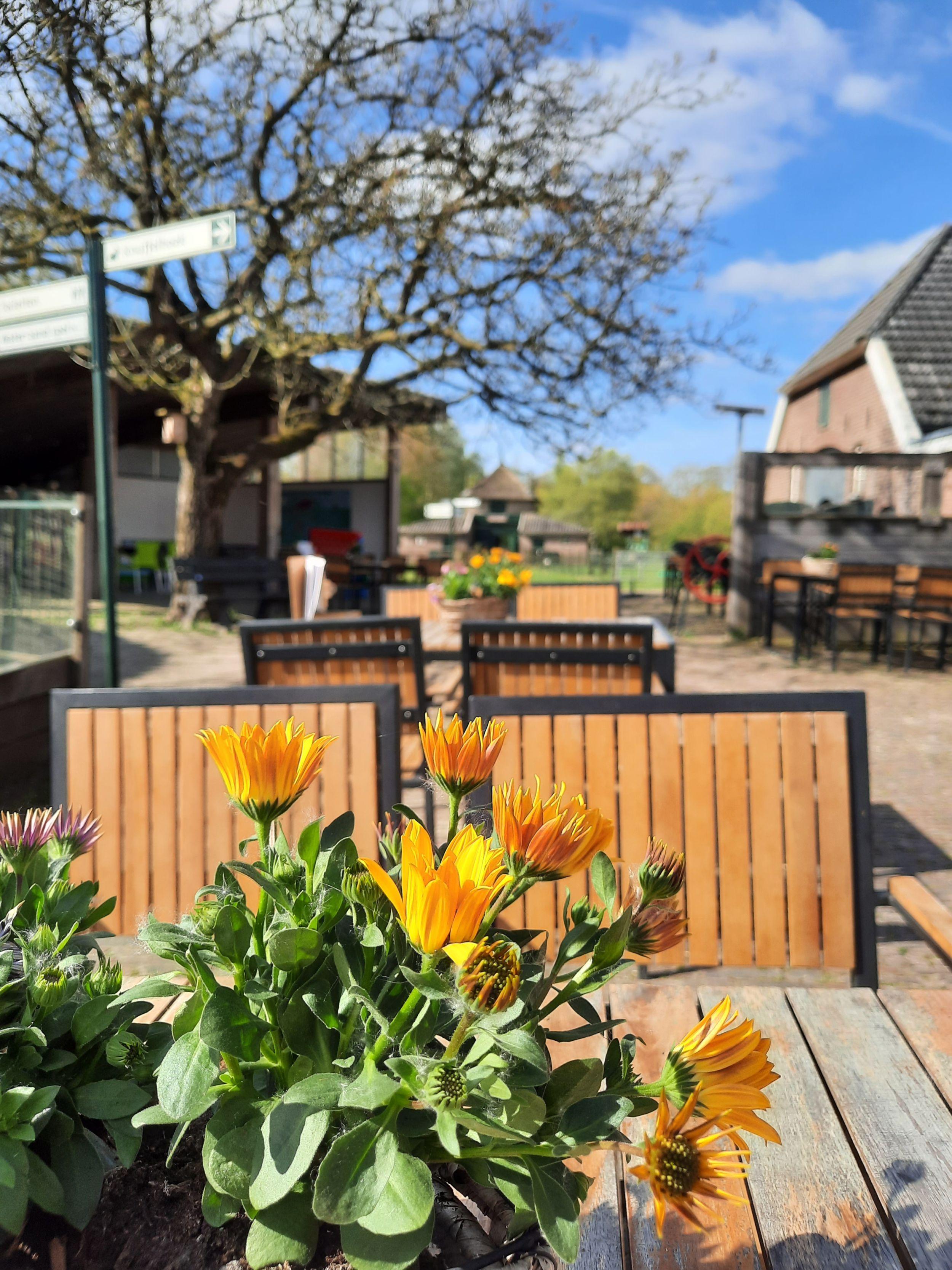 Beleefboerderij De kleine Carrousel — uitje in Nederland