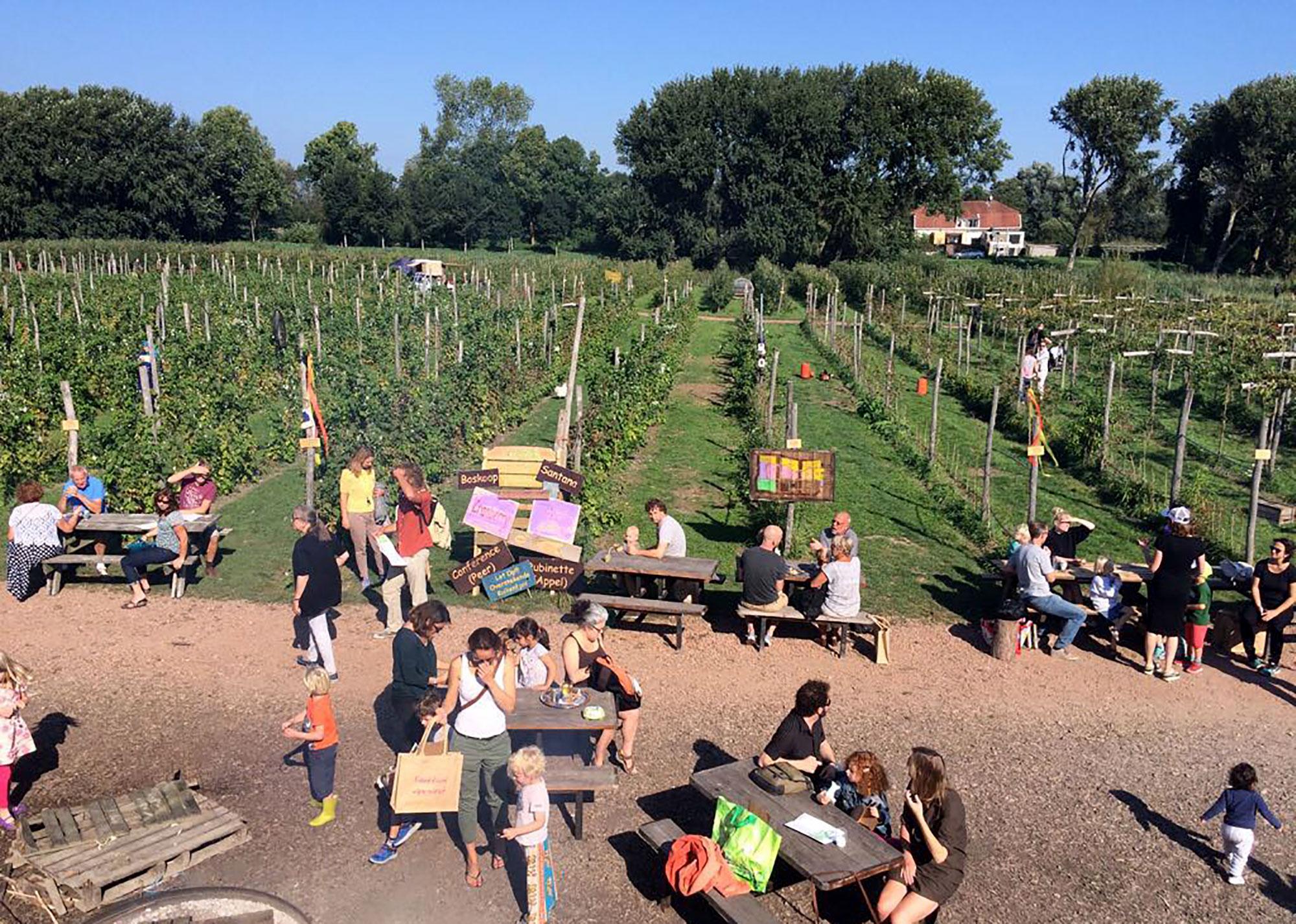 Fruittuin van West — uitje in Nederland