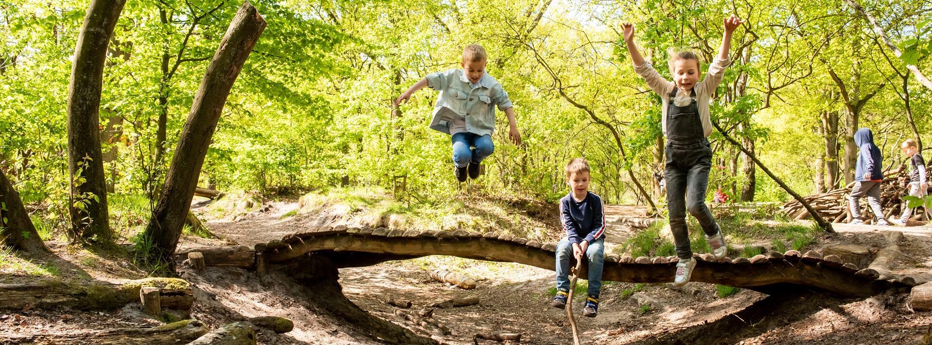Speelbos 't Laer — uitje in Nederland