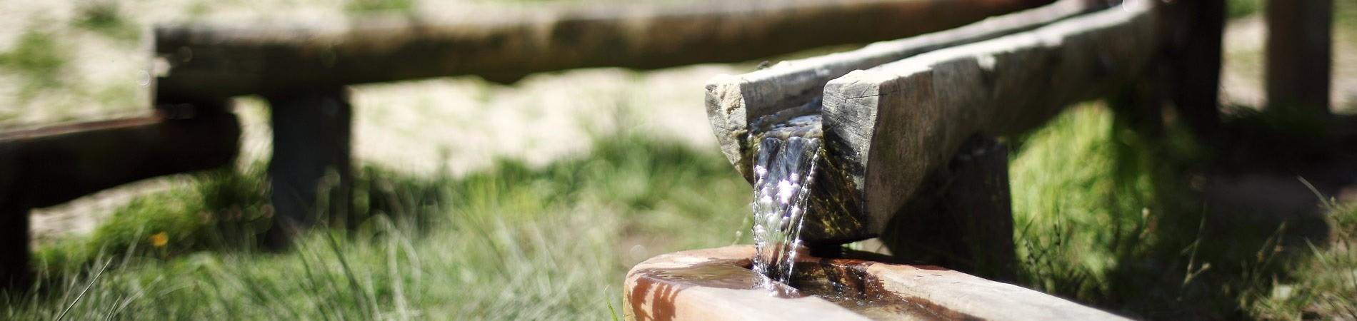 Speeltuin Koepelbos — uitje in Nederland