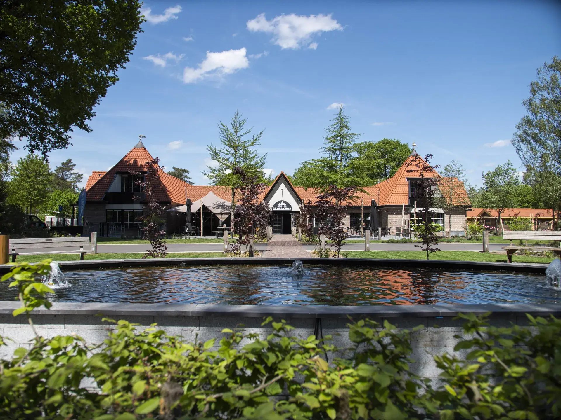 Wildebras @ThePark — uitje in Nederland