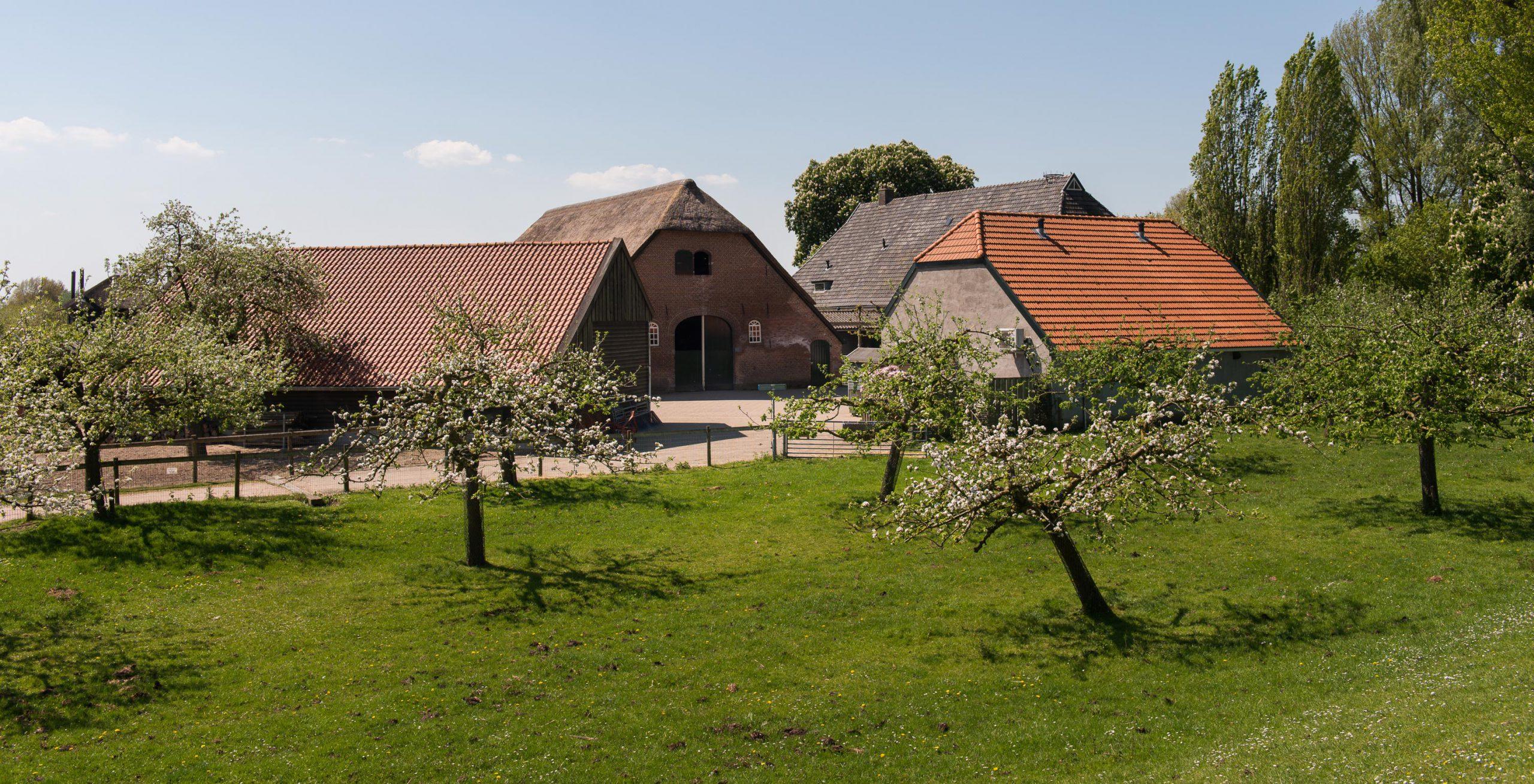 Stadsboerderij de Korenmaat — uitje in Nederland
