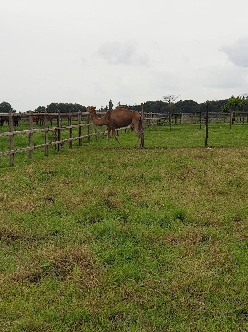 Aai & Vlaai- zorgboerderij de mekkerbek, uitje in Nederland