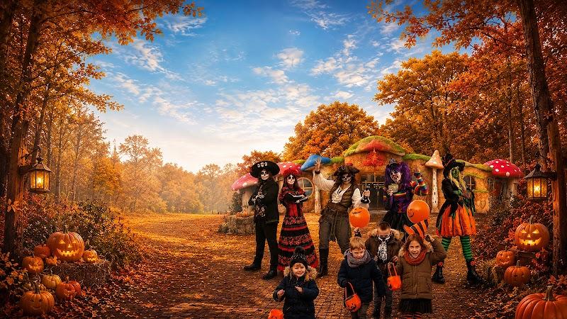 Attractiepark de Waarbeek, uitje in Nederland
