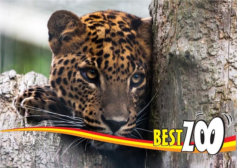 BestZoo, uitje in Nederland
