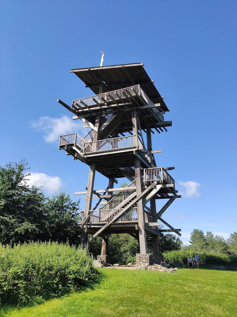 Blotevoetenpad Lieteberg, uitje in Nederland