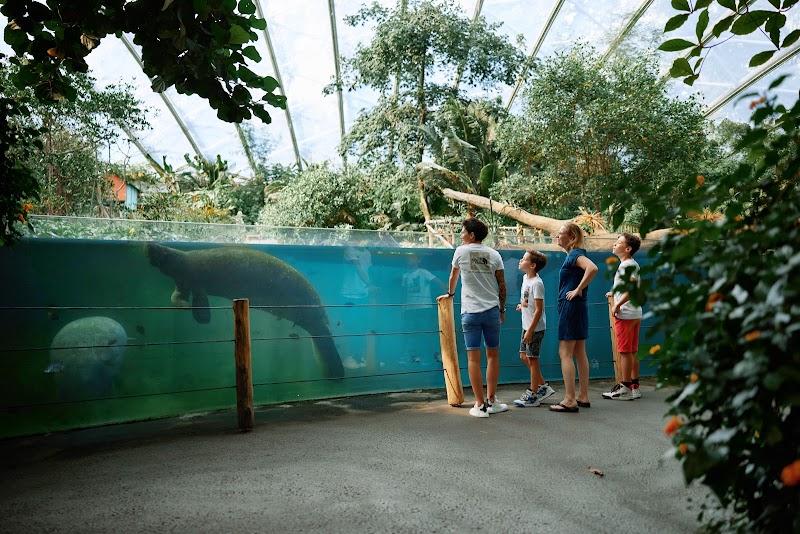 Burgers' Zoo, uitje in Nederland