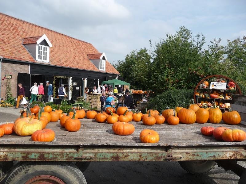 De Pompoenwinkel.nl, uitje in Nederland