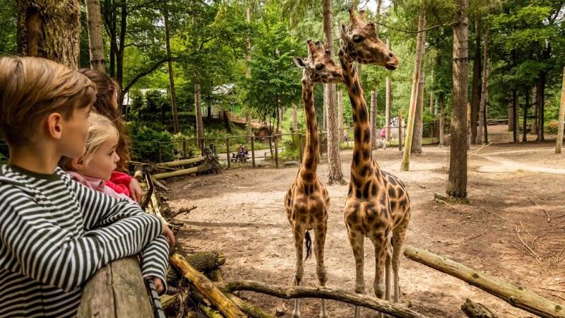 Dierenpark Amersfoort, uitje in Nederland