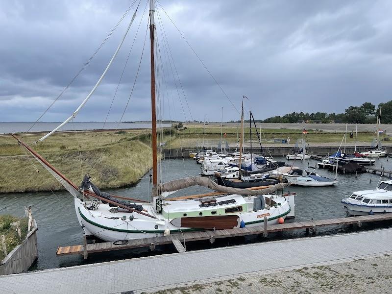 Flamingo's spotten, uitje in Nederland