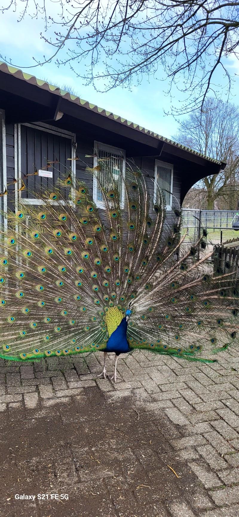 Het Akkertje, uitje in Nederland