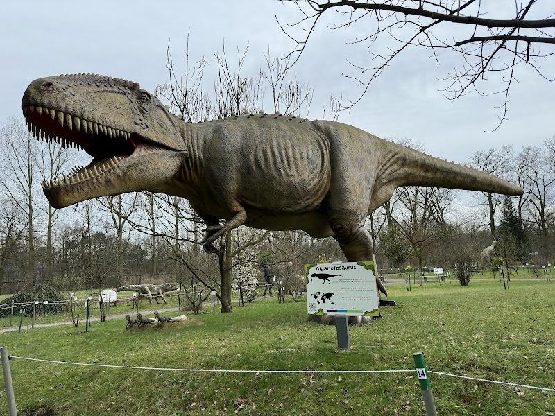 Het Oertijdmuseum, uitje in Nederland