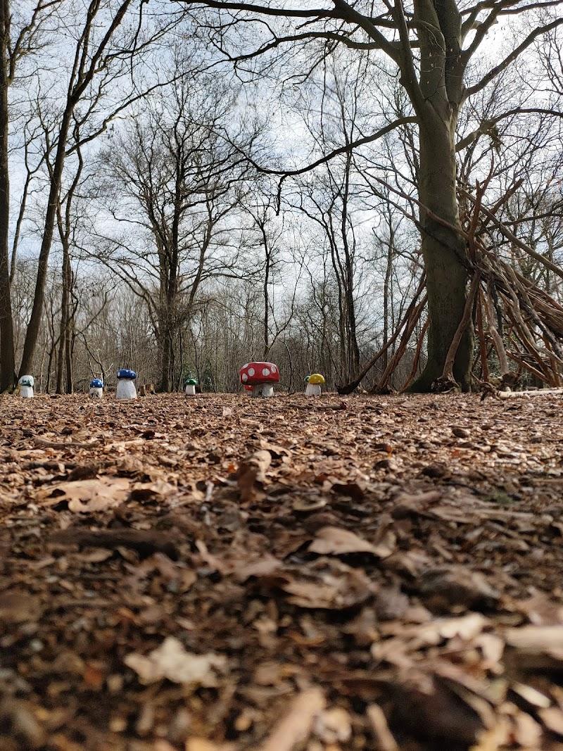 Kabouterpad Boxmeer - het bos , uitje in Nederland