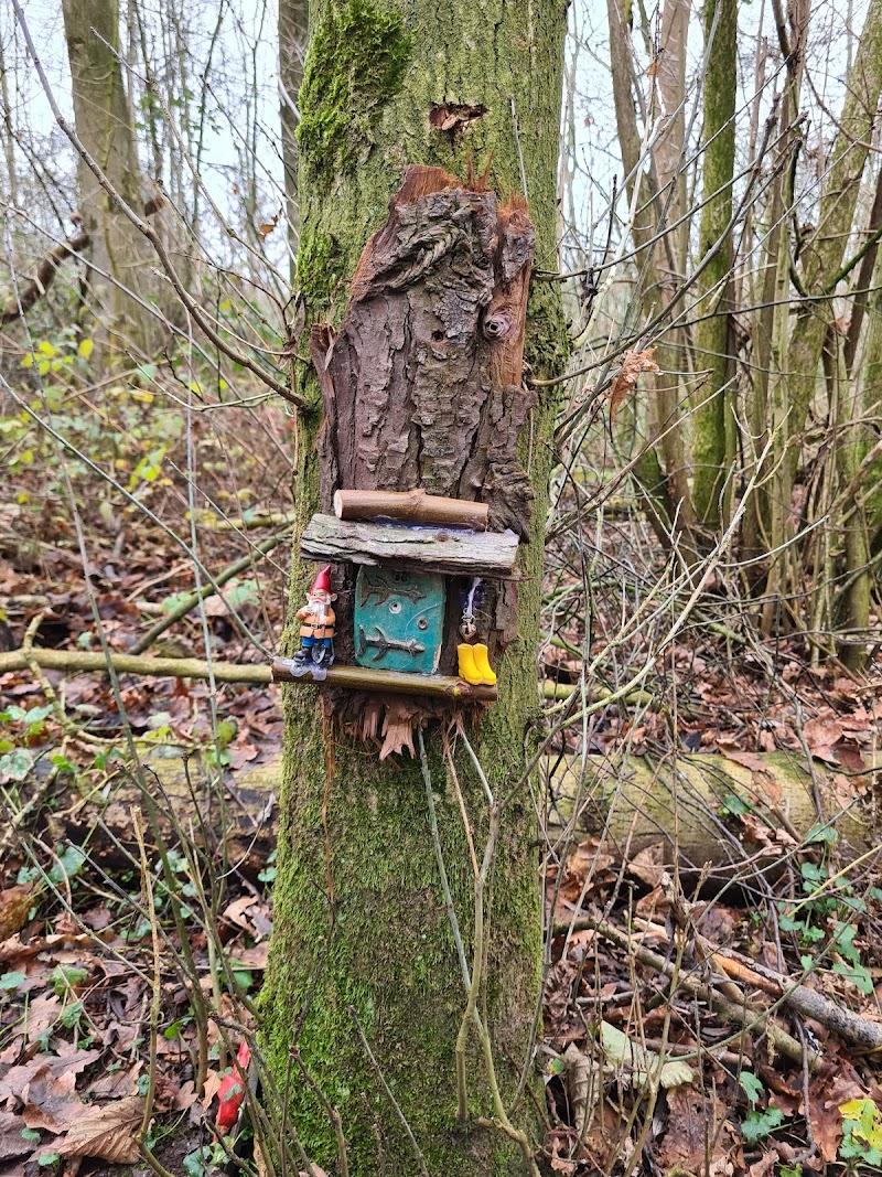 Kabouterpad Den Dungen, uitje in Nederland