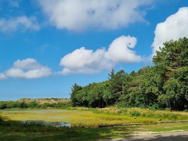 Kindvriendelijke wandelingen, uitje in Nederland