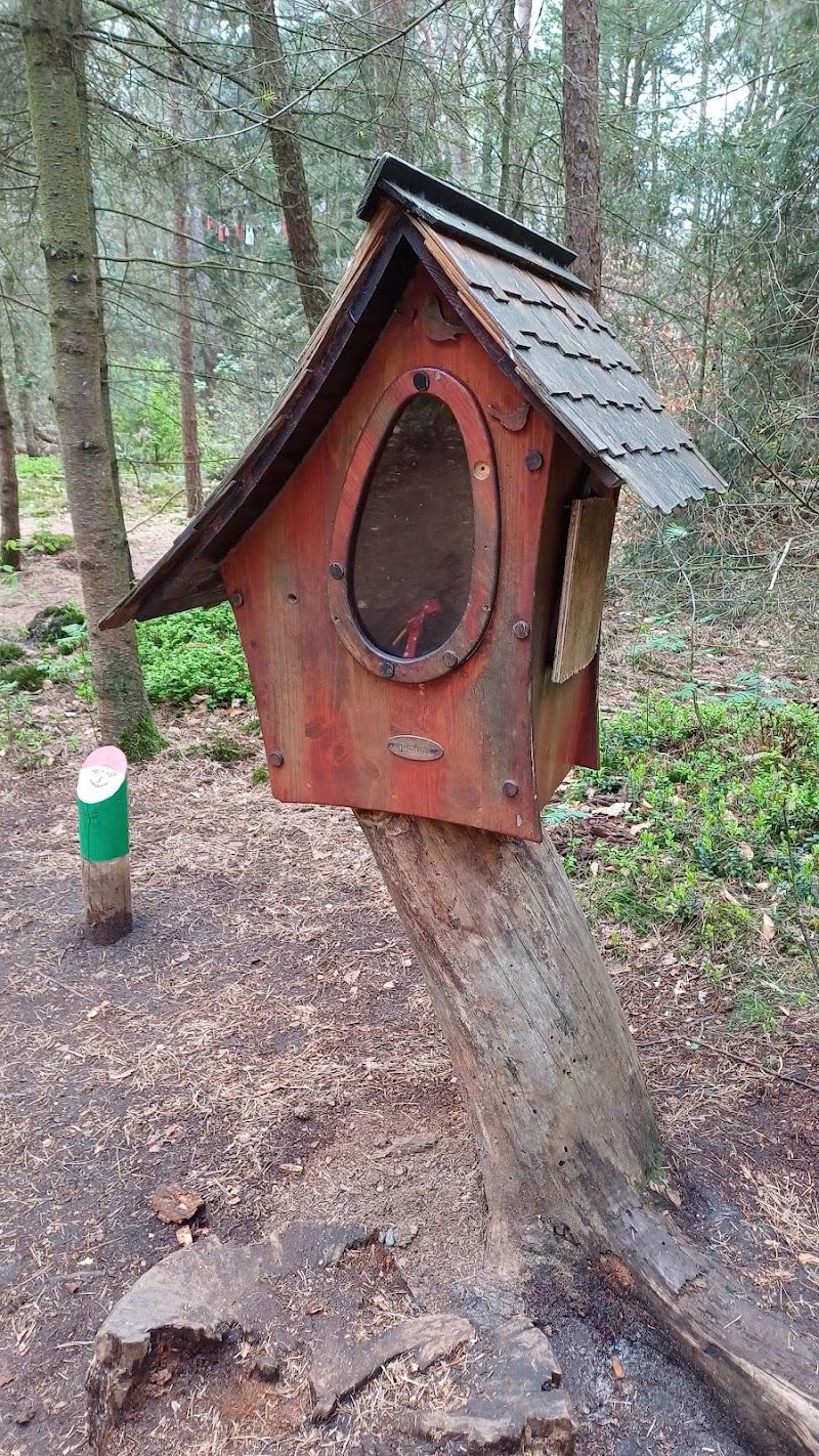 Kabouterpad Sallandse Heuvelrug, uitje in Nederland