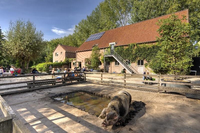 Kinderboerderij Cantecleer, uitje in Nederland