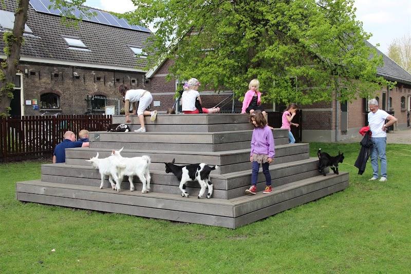 Kinderboerderij De Goudse Hofsteden, uitje in Nederland