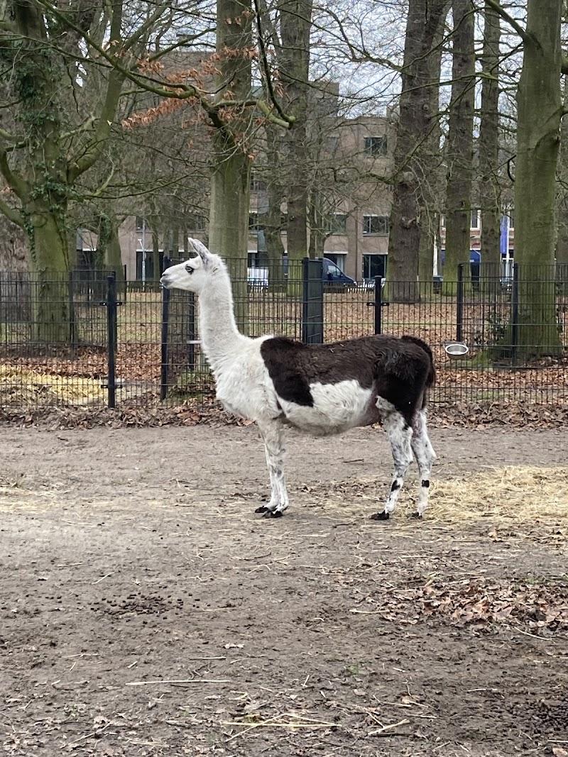 Kinderboerderij de Houthoeve, uitje in Nederland