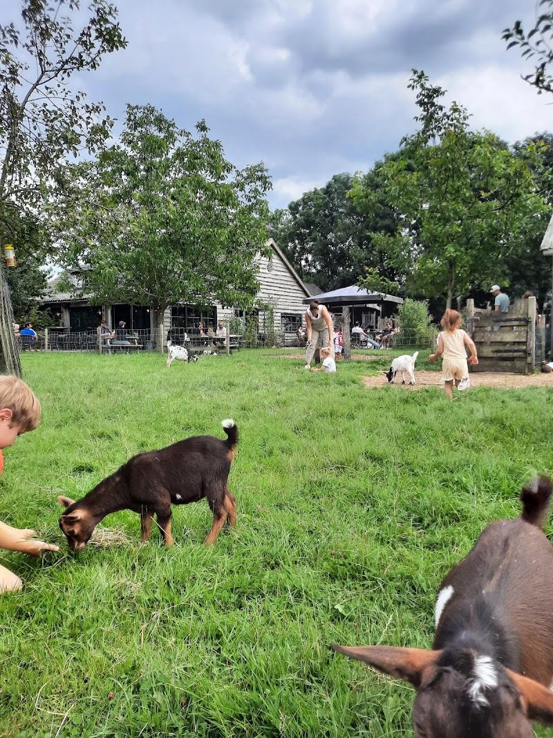Kinderboerderij De Meent, uitje in Nederland