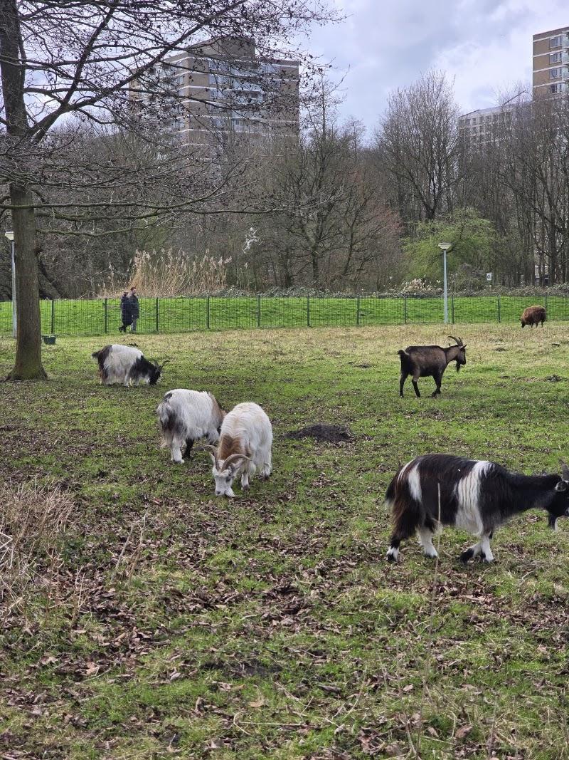 Kinderboerderij De Uylenburg, uitje in Nederland