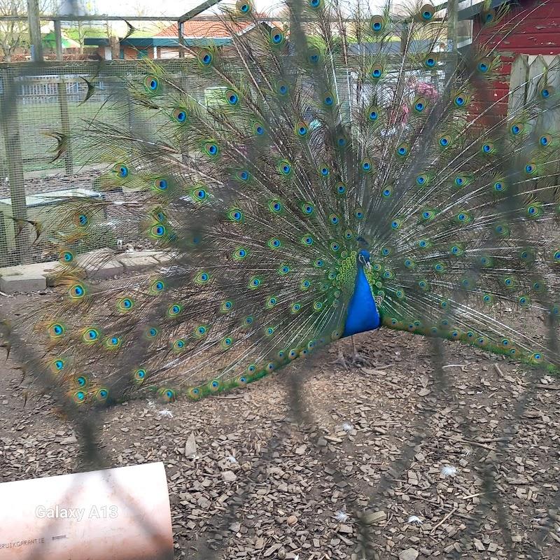 Kinderboerderij Floreffehoeve, uitje in Nederland