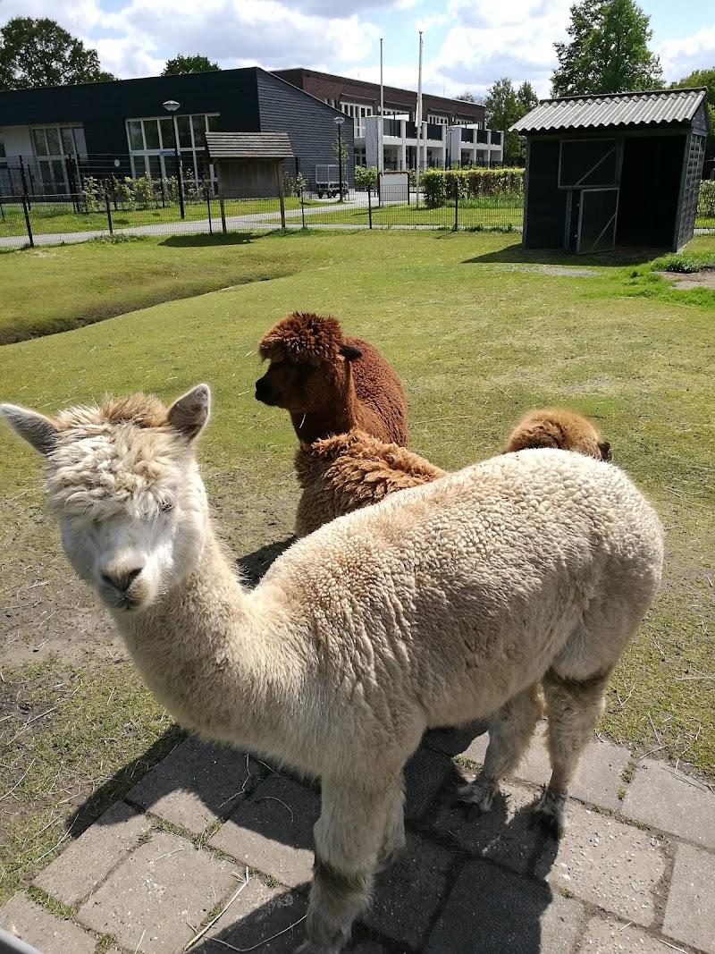 Kinderboerderij Leijhoeve, uitje in Nederland