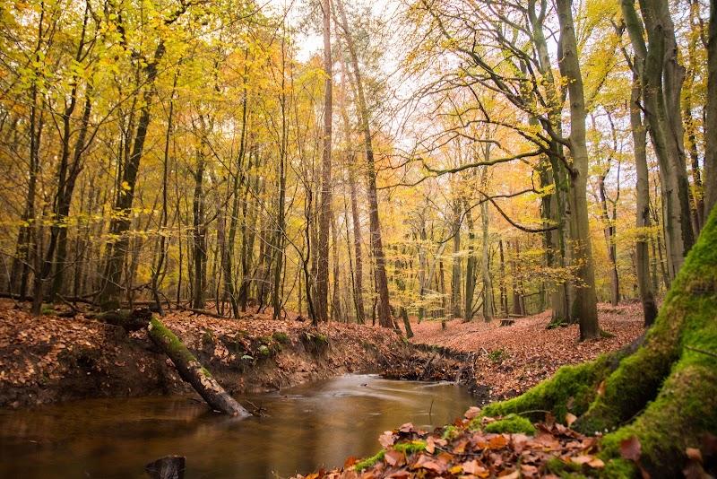 Koekoekroute, uitje in Nederland