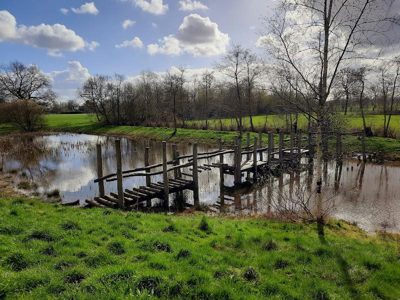 Kuzemerkooi, uitje in Nederland