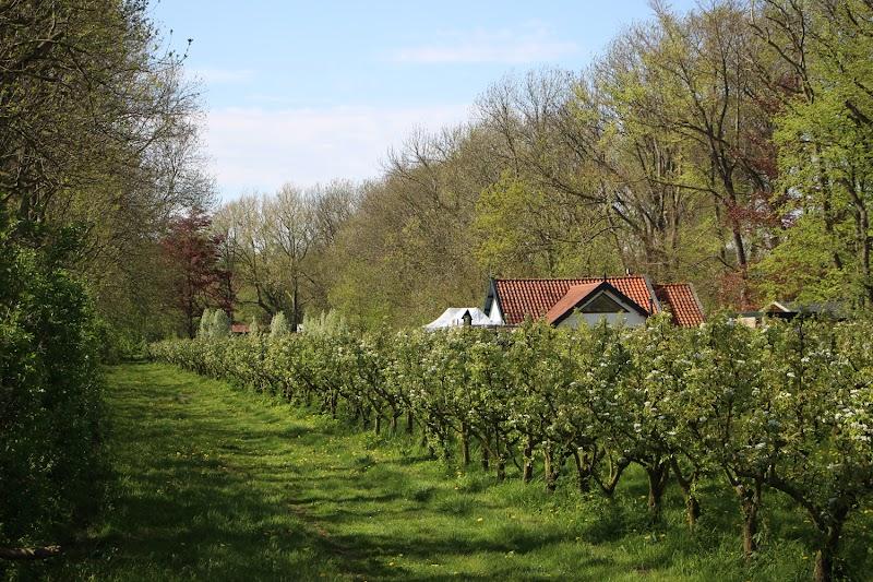 Landgoed de Olmenhorst, uitje in Nederland