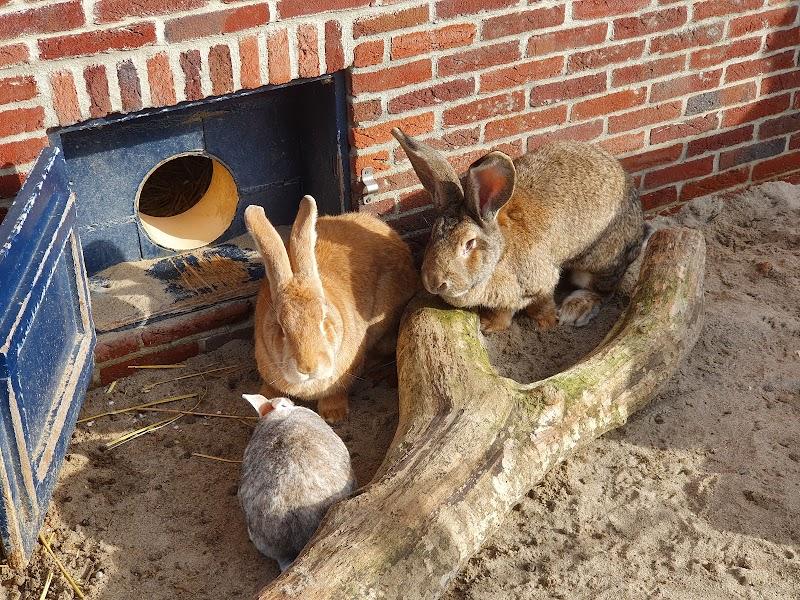 Landzigt, uitje in Nederland