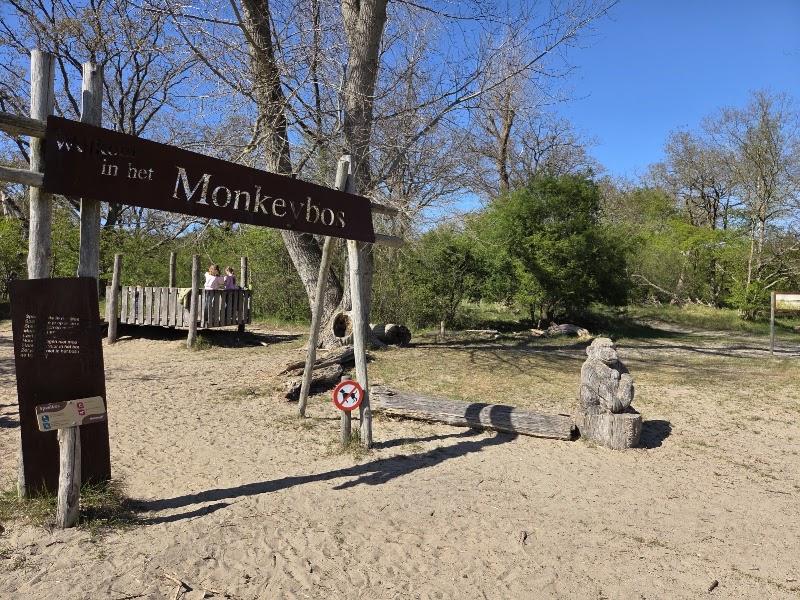 Monkeybos, uitje in Nederland