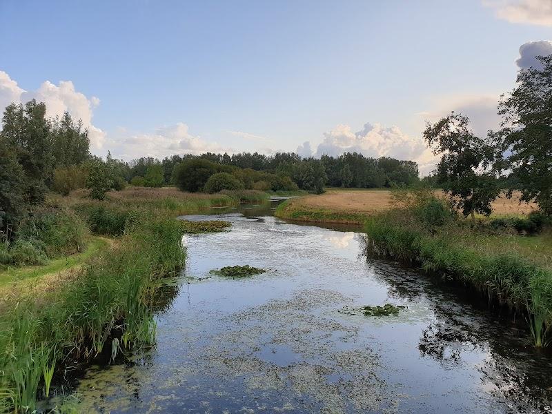 Natuurspeelpark de noorderriet, uitje in Nederland