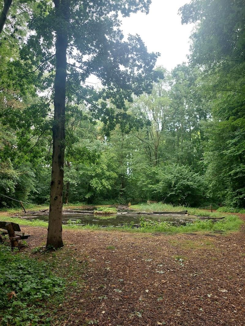 Natuurspeeltuin De Boomhut, uitje in Nederland