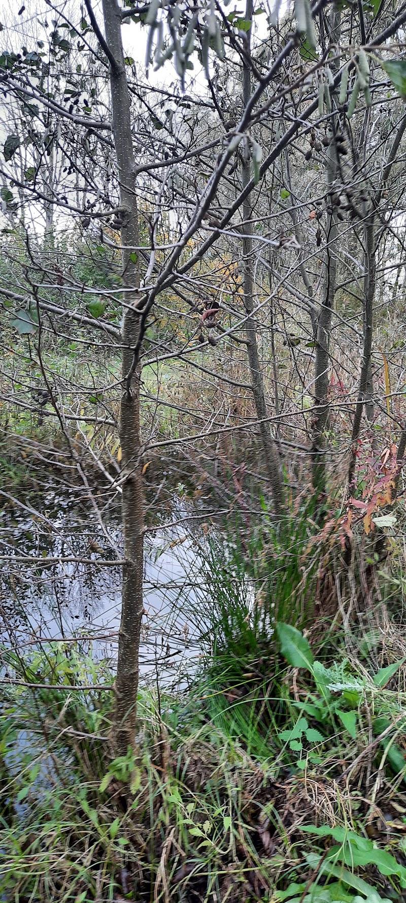 Natuurspeeltuin de Tuinpiraat, uitje in Nederland