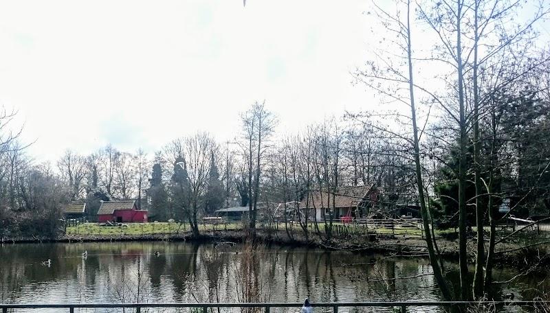 Natuurspeeltuin Het Diereneiland, uitje in Nederland