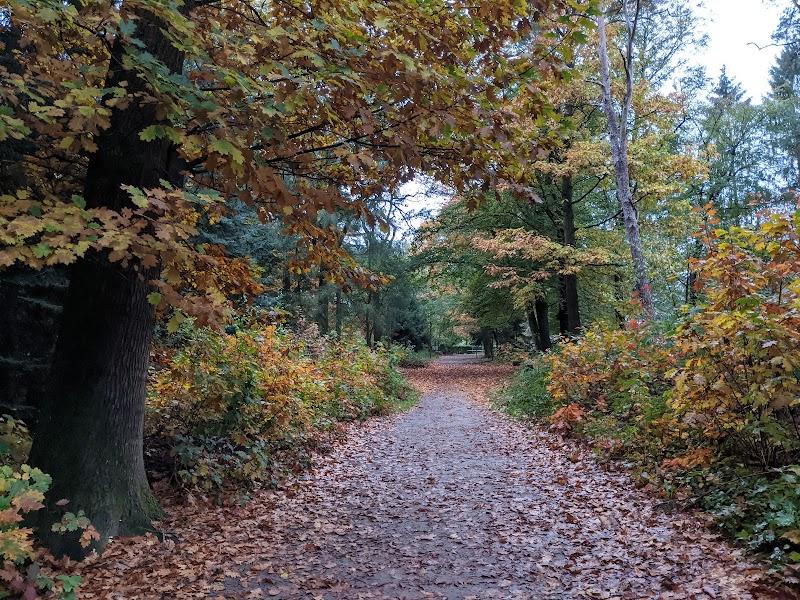 Natuurspeeltuin Zandbos, uitje in Nederland