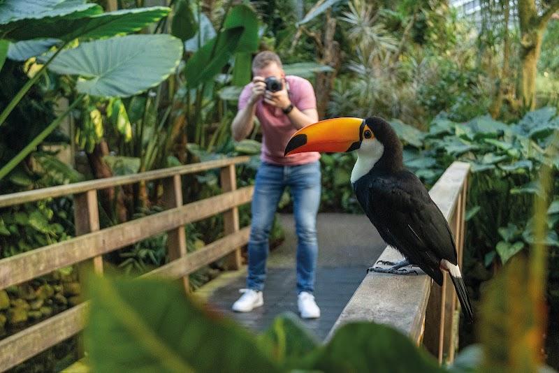 Pantropica (voorheen de Orchideeën Hoeve), uitje in Nederland