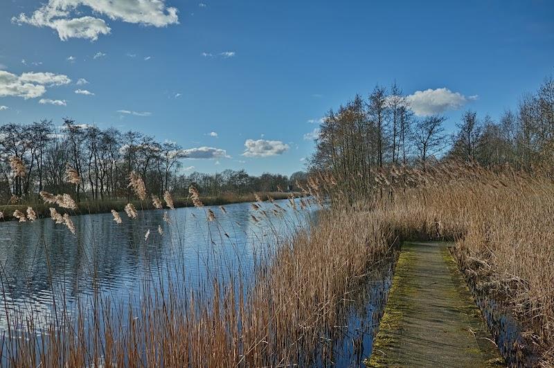 Pettebosk , uitje in Nederland