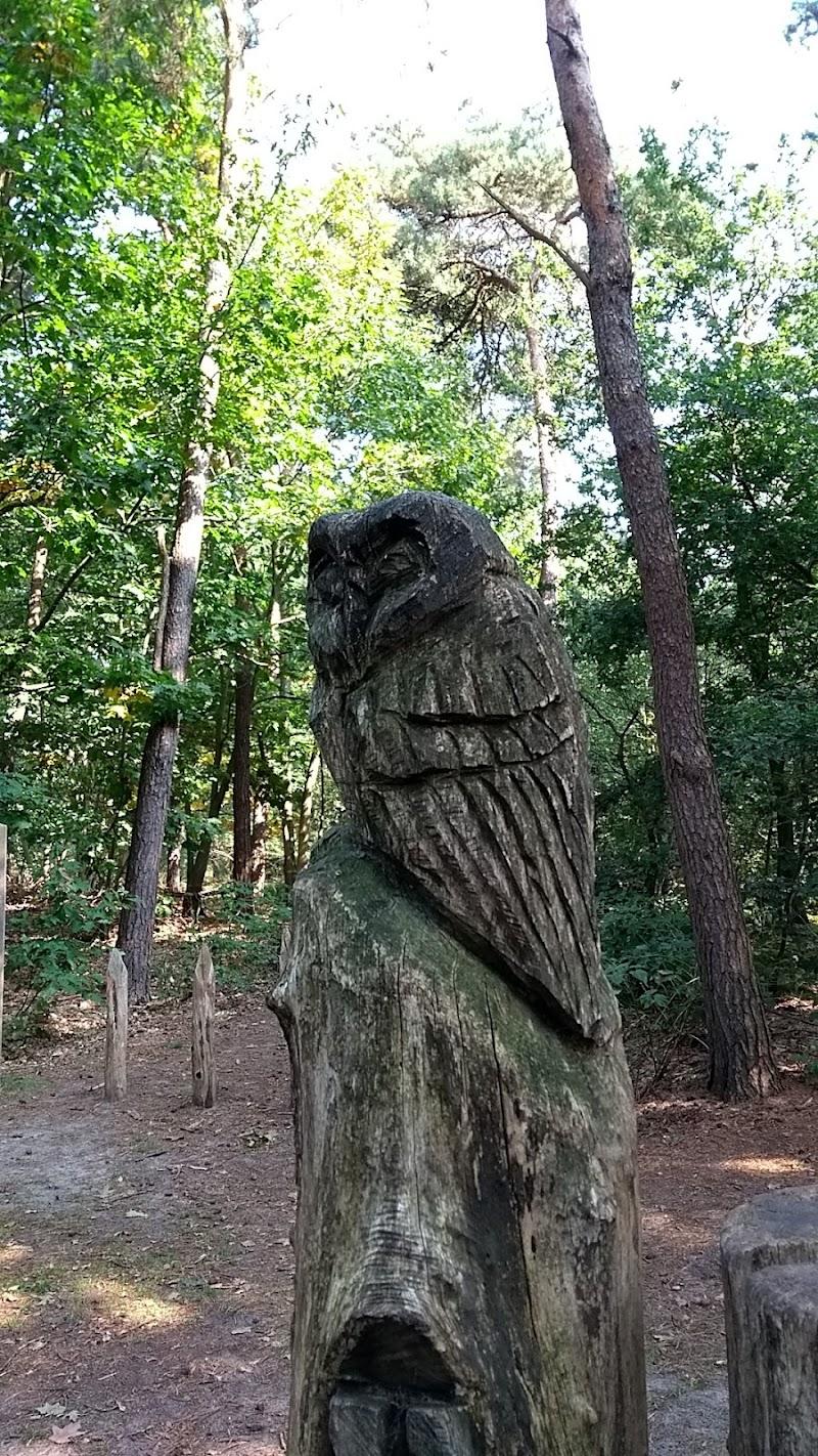 Speelbos De Kemmer, uitje in Nederland