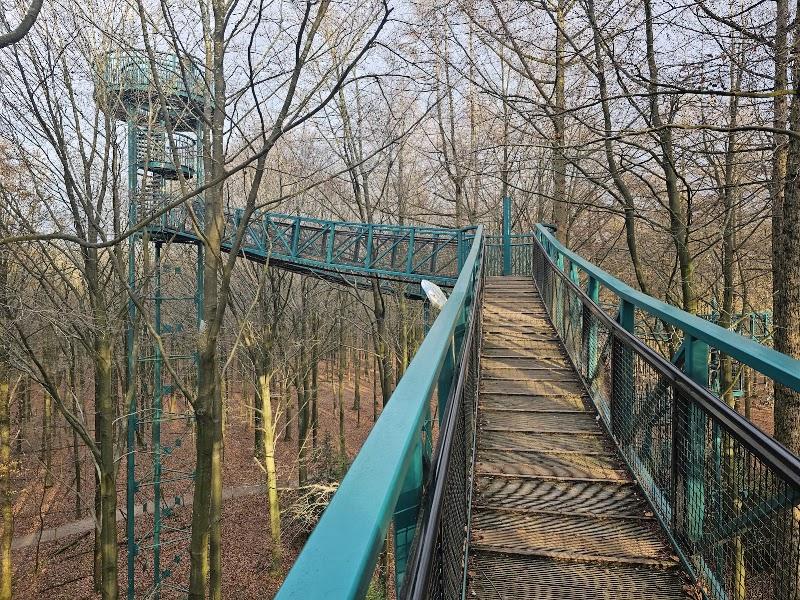 Speelbos Lorken, uitje in Nederland