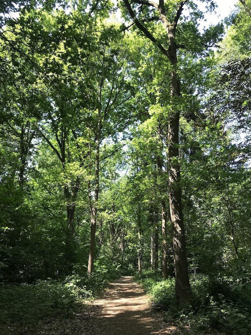 Speelbos Tilburg Noord , uitje in Nederland