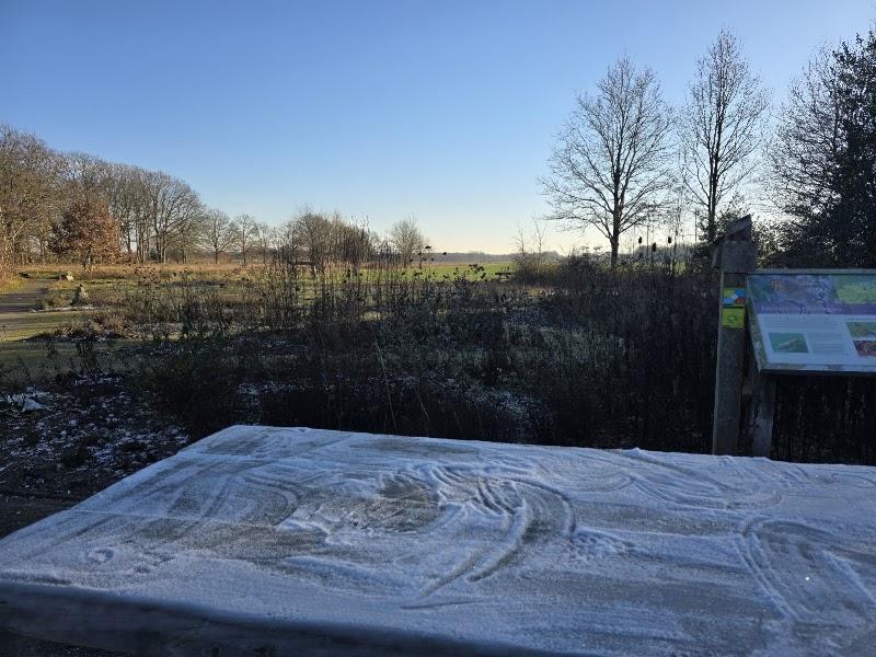 Speelnatuur van OERRR Dwingelderveld, uitje in Nederland