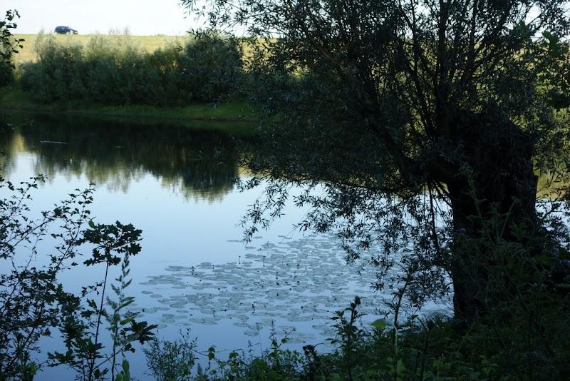 Sprokkelbos, uitje in Nederland