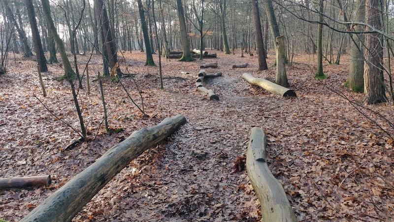't Slingerpedje, uitje in Nederland