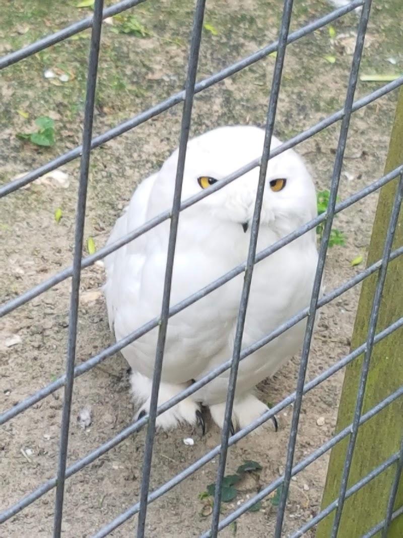 Texel Zoo, uitje in Nederland