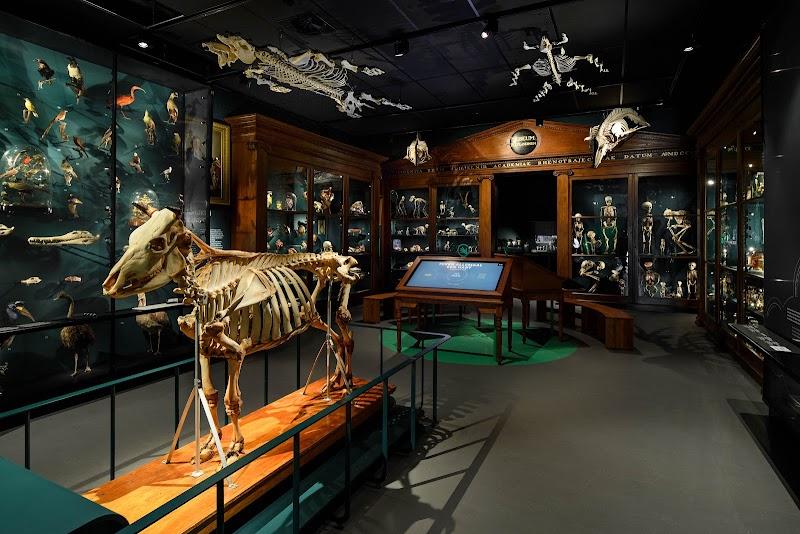 Universiteitsmuseum Utrecht, uitje in Nederland