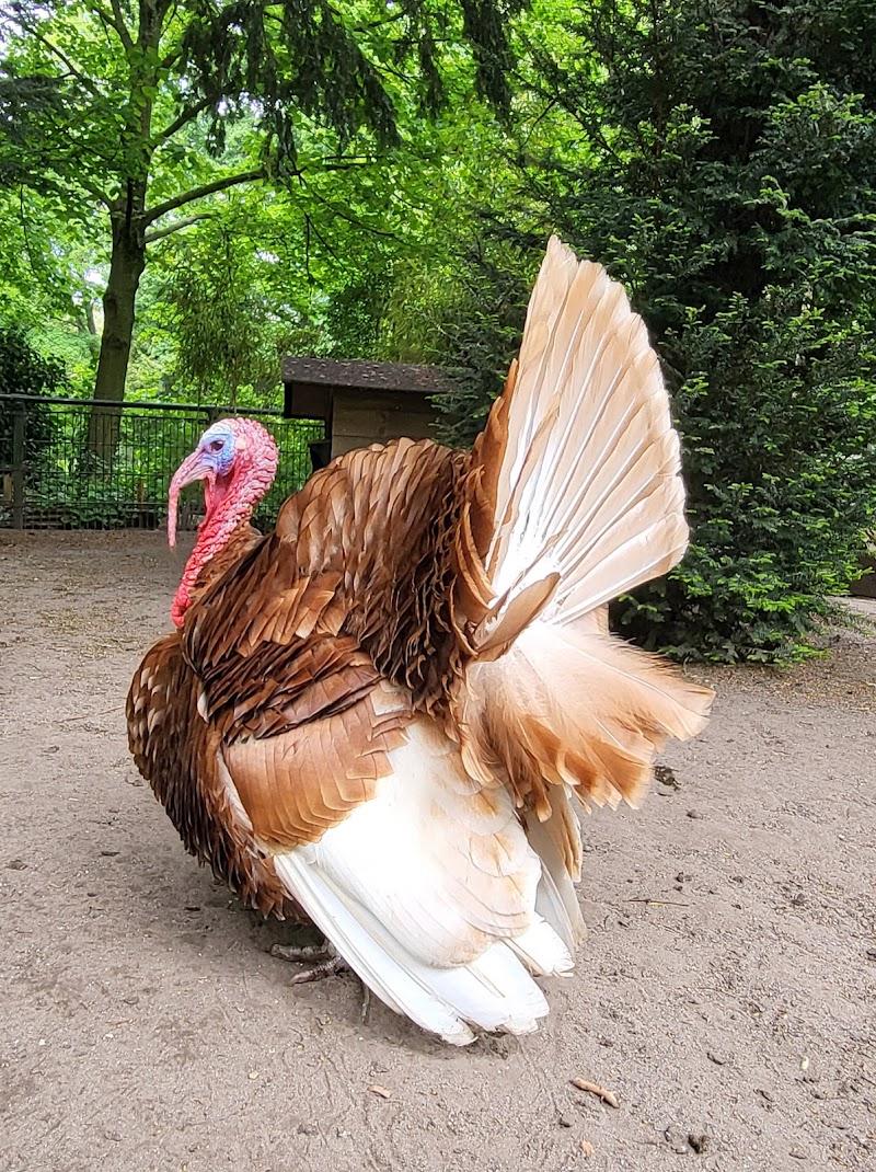Stadsboerderij Weizigt, uitje in Nederland